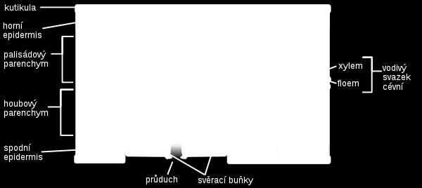 radiation specific spectral behaviour of vegetation (see