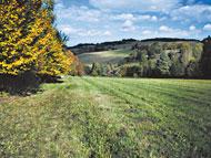 zahrada 289 m 2, garáž 29 000 000, Kč 775 571 720 Moutnice, novostavba