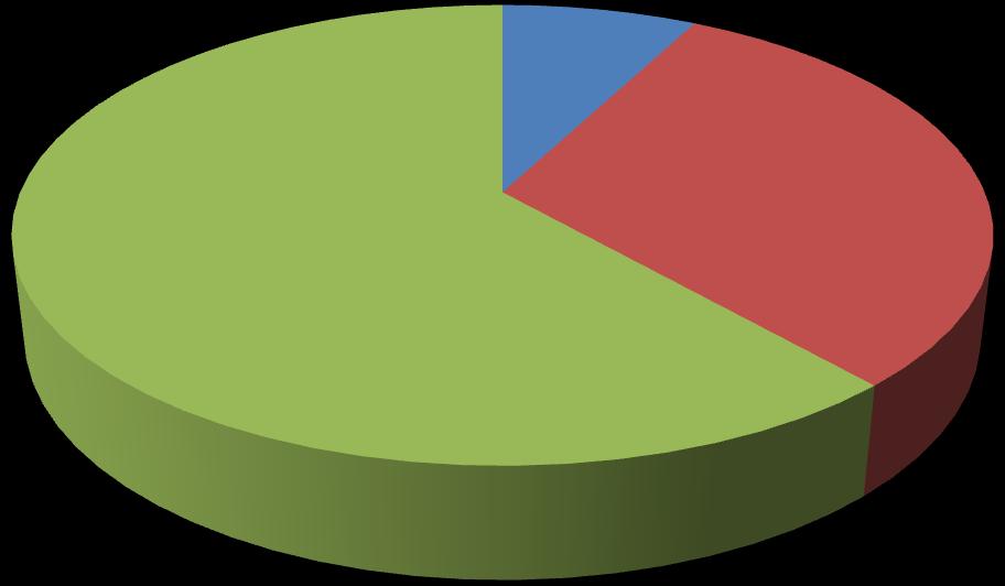 Důvody přijetí matek v roce 2016 Rodinné důvody 8% Bytová nouze 61% Neodstatečné rodičovské kompetence 31%