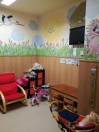 záchranné, sociální a další humanitární služby - šíří znalost ženevských úmluv -