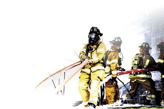 PASIVNÍ PROTIPOŽÁRNÍ OCHRANA Den Braven FireProtect