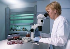 The compact shape of the microscope zoom body and a wide choice of auxiliary lenses with working distances of up to 400 mm offer the right solution for any integration requirements.