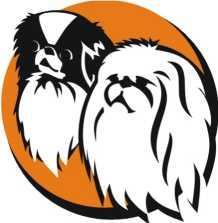 ROČENKA 2017 Interclub Orient Pekinéz a