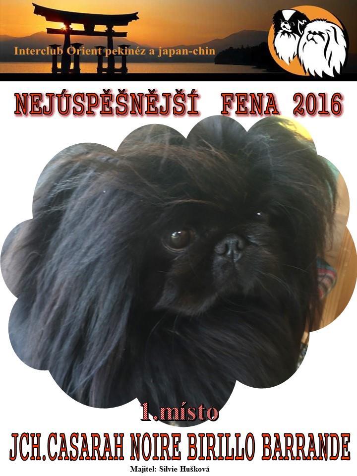 NEJÚSPĚŠNĚJŠÍ FENA KLUBU ICO ROKU 2016 JCH. CASARAH NOIRE Birillo Barrande *15.10.