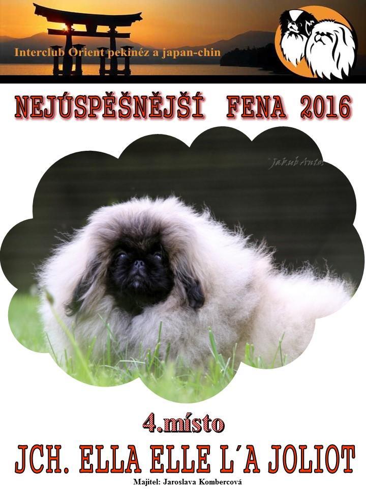 AKIO iz Peterburzhskogo Bomonda * 17.5.2014 621 Parrima Arih Yuichi Hiroki x San Monstr Tanabata majitel: Jana Pechanová GCH.