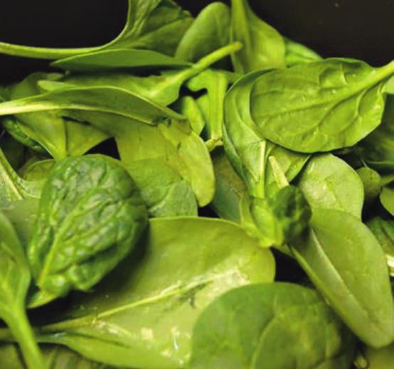 Zdraví v kuchyni - RECEPTY Špenát trochu jinak: vegan variace Velikonoce jsou za dveřmi i venku už voní jaro.