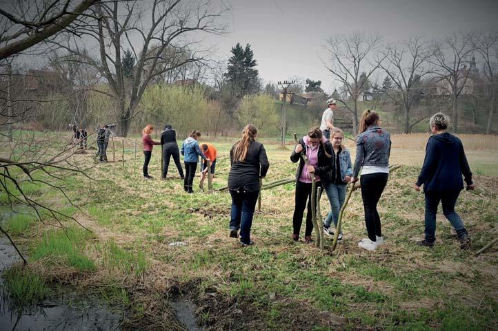 mít řada lidí jiný názor, ale my v Dúbku věříme, že jdeme po správné cestě. Tak vrby jsou v zemi a co dál?