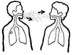Zdroj nákazy Nejzávažnější zdroj- nemocný člověk s mp TB Inhalační cesta přenosu (kapénková nákaza)- více než 80% je bránou vstupu dýchací ústrojí Přímý kontakt s infekčními sekrety (inokulační