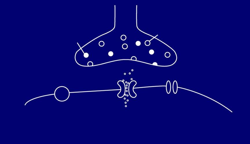 Centrální sensitizace Substance P Glutamát Presynaptická membrána NK-1 Ca +2 (v roli druhého posla) AMPA = kyselina -amino-3-hydroxy-5-methyl-4-isoazolepropionová; Ca +2 = ionty vápníku; NK-1 =