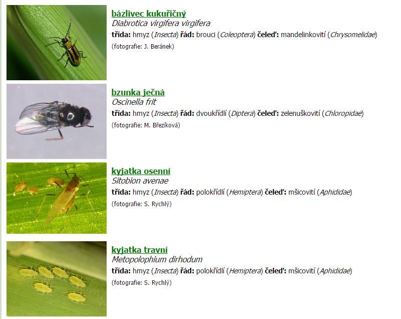 Kvalita státního monitoringu výskytu škodlivých organismů Kvalitní informace s možností řádné interpretace dat 1) Jasně definovat prováděné