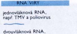 Viry RNA