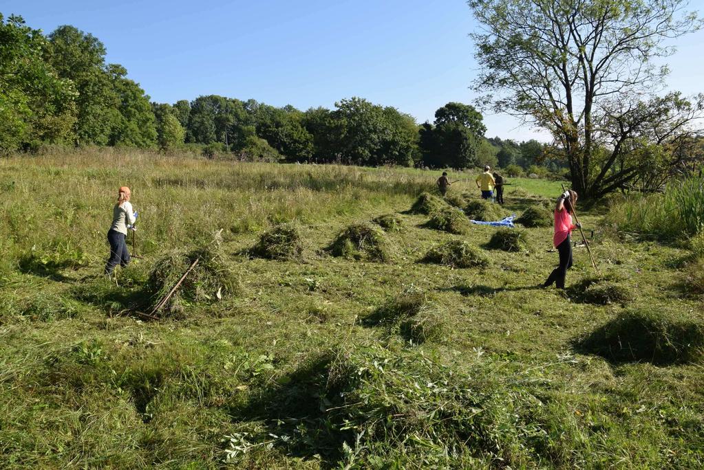 000 Kč Moravy (IČ 41031547) Uzavření výpůjčních smluv na 2 lokalitách (4,38 ha), zpracování a administrace 34 projektů na financování činnosti pozemkového spolku (OPŽP, Olomoucký