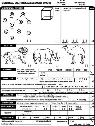 Zkrácené X nezkrácené verze testů Základní
