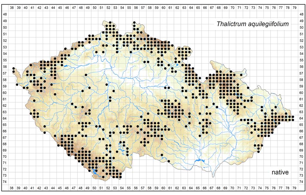 Distribution of Thalictrum aquilegiifolium in the Czech Republic Author of the map: Zdeněk Kaplan Map produced on: 15-10-2017 Database records used for producing the distribution map of Thalictrum