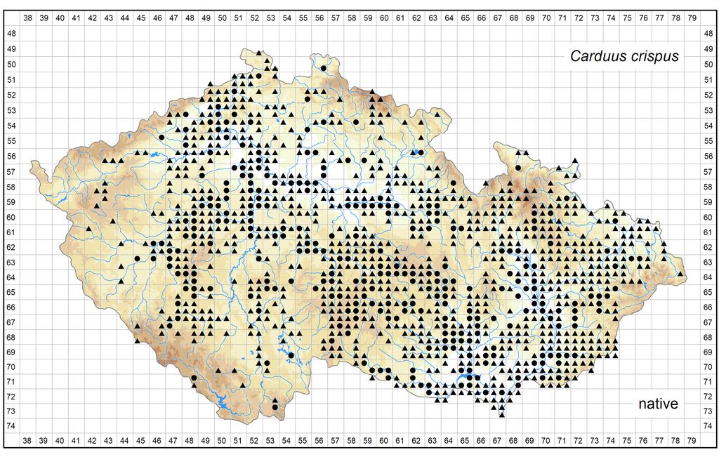 Distribution of Carduus crispus in the Czech Republic Author of the map: Jitka Štěpánková Map produced on: 08-08-2017 Database records used for producing the distribution map of Carduus crispus