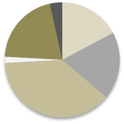 21% 17% 19% náhrobek obrubník písek 38% půda štěrk 2.2.2. Stromy Stromy jsme vybíraly