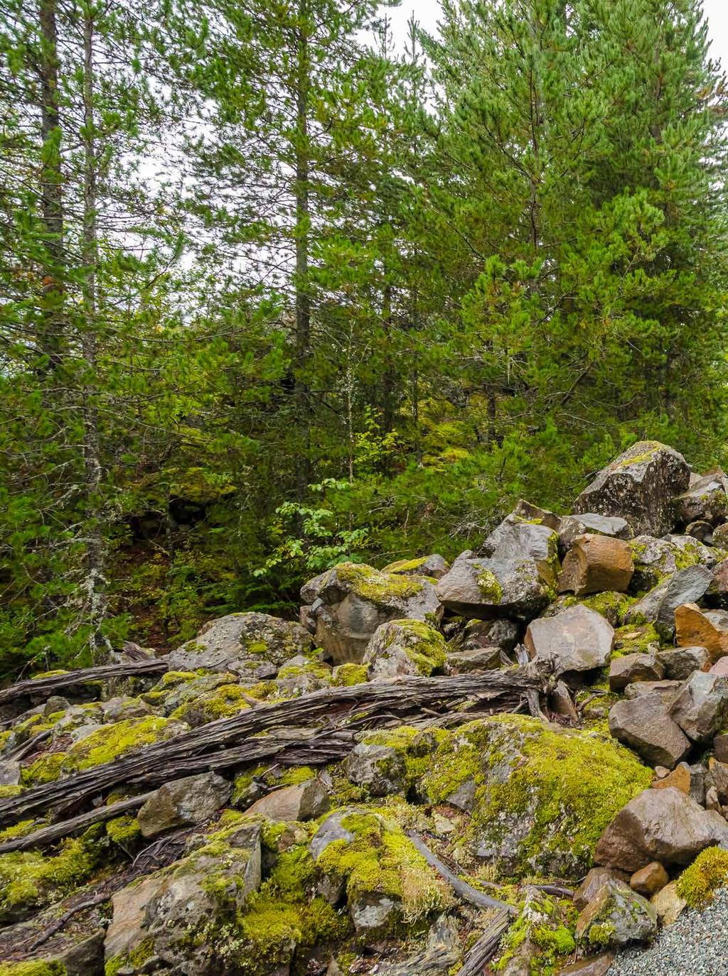 pánska bunda DIRCE vodný stĺpec: 2000 mm priedušnosť: 1000 g/m 2 / 24 hod TEX-PROOF pánska