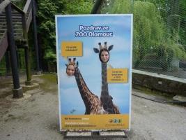 ZOO Olomouc