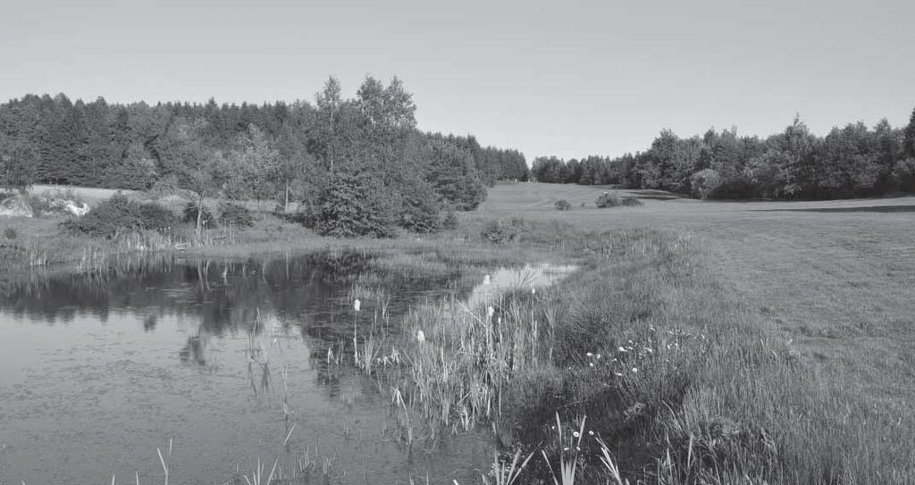 Obr 2. Ilustrační foto golfová dráha (fairway) a stavbou golfového hřiště vytvořená nová vodní plocha.