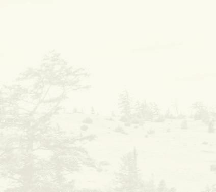 celý zelený hrách, vláknina z čočky, celá cizrna, celý žlutý hrách, celé fazole pinto, hovězí tuk (1 %), vepřový tuk (1 %), olej ze sledě (1 %), hovězí chrupavky (dehydrované, 1 %), hovězí játra