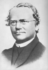 J.G.