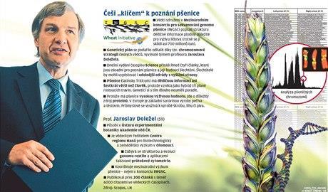 Příběh pšenice Prof.Jaroslav Doležel ÚEB AV ČR Centrum Haná Olomouc http://neviditelnypes.lidovky.