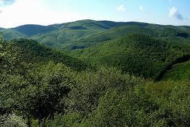Medzi