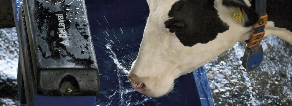 DeLaval vodní žlaby a napáječky Existuje ekonomicky velmi nenákladný způsob, jak zvýšit produkci mléka.