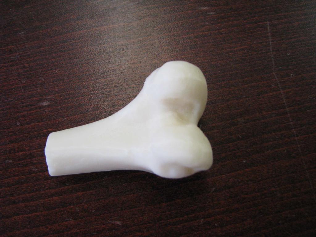 Pevný bílý plast modely jsou vyrobeny z pevného a trvanlivého bílého plastu. Používají se především na ukázku produktů a k zaškolení pacienta.