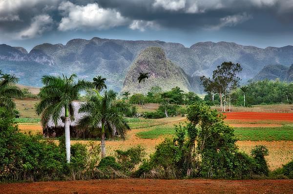 3. den: fakultativní výlety Pinar del Rio & Viñales a show Tropicana Dnes na nás čeká fakultativní výlet Pınar del Rio & Viñales s obědem.