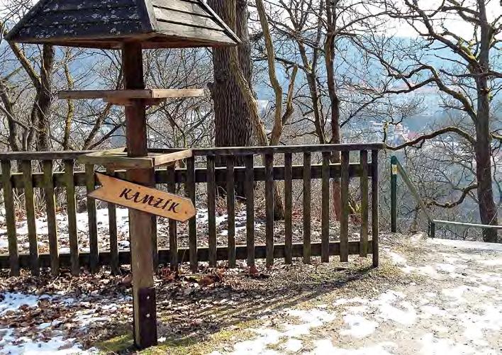 Jenže sníh před konáním akce roztál. Ředitel Outdoorová Asociace Finska se však přesto rozhodl vyslat dobrovolníky ze sportovní školy v Lahti na trať.