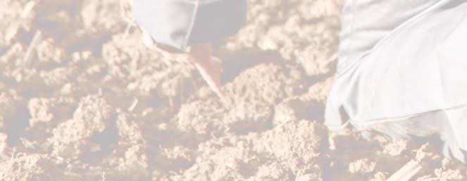 Je vybavena secím rámem SEEDFLEX pro setí za jakýchkoli podmínek.