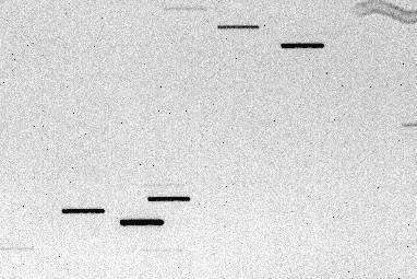 3 NÁVODY NA POZOROVÁNÍ PLANETKOVÝCH ZÁKRYTŮ tato hvězda v důsledku rotace Země kolem osy pohybuje z jednoho okraje snímače k druhému.
