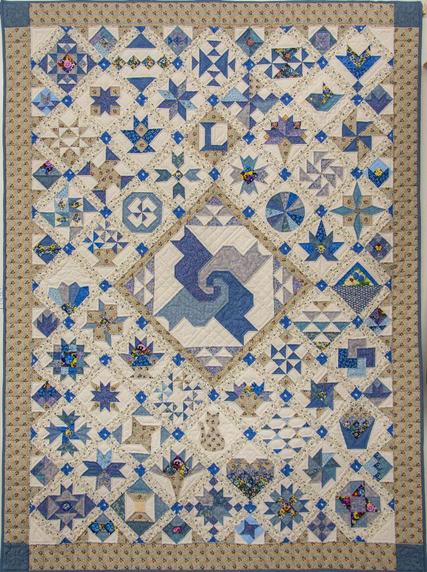 Absolvovala jsem základní kurs a od té doby šiji výrobky pro rodinu i přátele. Zapojuji se do společných projektů i charitního šití. Mám ráda klasický patchwork, ručně šité bloky a ruční prošívání.