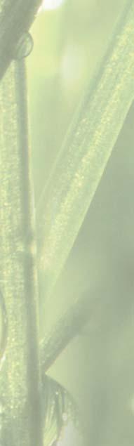 COGA604