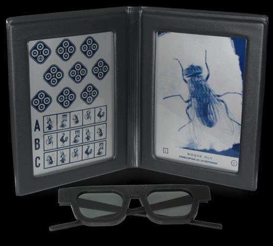 is too large, there is a diplopia or a suppression of perception from one eye. The precise coordination of both eyes for all of views is another necessary component motor fusion.