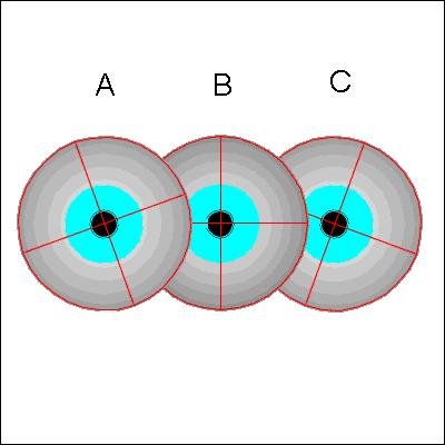 Figure 2: Illustration of experimental Helmholtz's hemisphere for confirmation of the Donders Law [5]. The eye muscles and brain neural circuits have the ability to rotate the eye in three dimensions.
