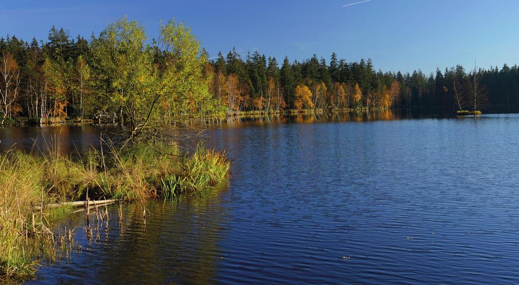 Lázeňský zpravodaj Léčebných lázní Lázně Kynžvart SLAVKOVSKÝ LES Číslo 4 - říjen - prosinec 2017 Chráněnou krajinnou oblast Slavkovský les je možné přirovnat k hornatému ostrovu zeleně, klidu a dosud