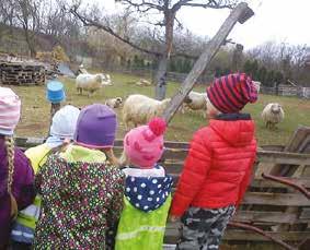 RAJHRADSKÉ ŠKOLY Václavská 29, 664 61 Rajhrad, IČ 00488143 a Městem Rajhrad, Masarykova 32, 664 61 Rajhrad, IČ 00282456 na finanční příspěvek MATEŘSKÁ ŠKOLA RAJHRAD města Rajhrad od roku 2017 ve výši