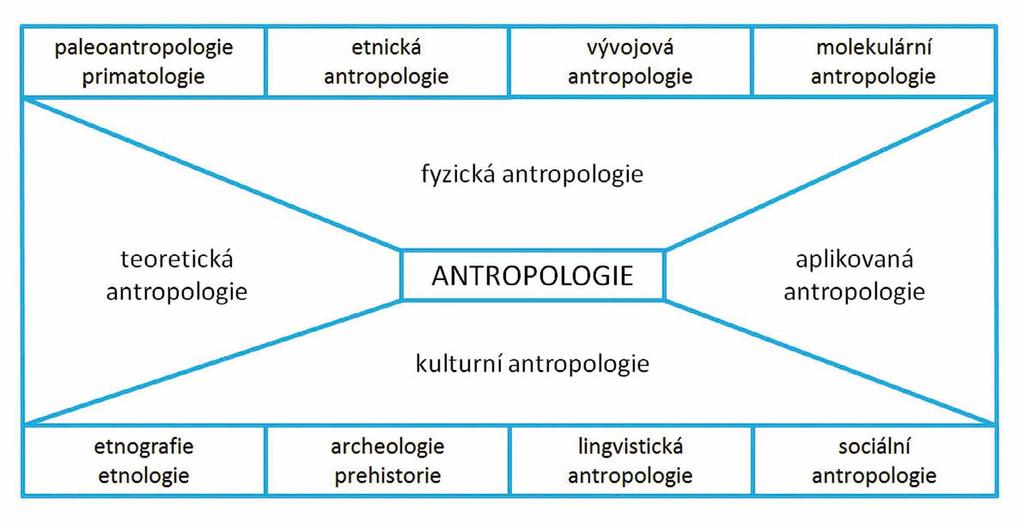 Schéma 1: Model obecné antropologie (podle Soukup 2004, 16). logie, a čtvrté odvětví, lingvistická antropologie, studuje lidský jazyk.