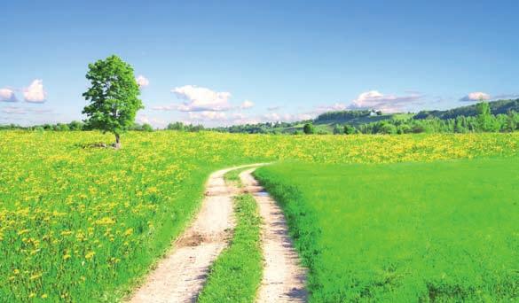 ARCUS onko centrum, z.s. Adresa: Ješov 24, 783 24 Luká Bankovní spojení: FIO Banka: 2700226536, kód 2010.