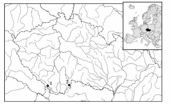 Pithart D. (1997): Diurnal Vertical Migration Study during a Winter Bloom of Cryptophyceae in a Floodplain Pool. Int. Revue ges. Hydrobiol., Berlin, 82/1: 33 46. Pithart D.