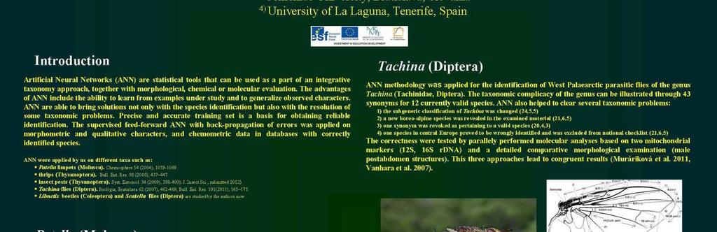 Review of the genus Lamellipalpodes Maulik (Coleoptera: Lampyridae), Zootaxa, 3925(3)409 421 IF-0.