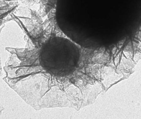 MRI kontrast 2008: 3.