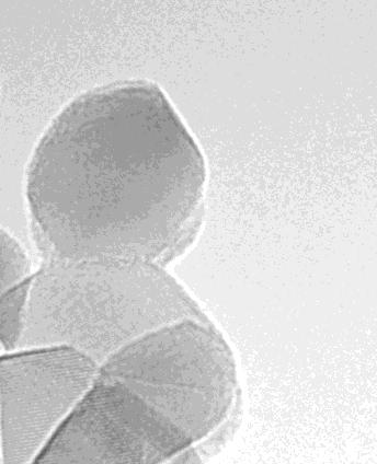 magnetické fotokatalyzátory -Fe 2 O 3 /TiO 2 TiO 2 fotokatalyzátor pro čištění vod problém - nutnost nákladné postprocesní separace z vodného prostředí řešení magnetická modifikace problém