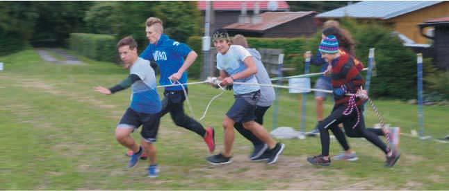 Pøehled oborù vzdìlání 2. Pøehled oborù vzdìlání Ke dni ukonèení výuky v maturitních tøídách 4. roèníku navštìvovalo školu 331 žákù v 11 tøídách. Prùmìrný poèet žákù ve tøídì byl 30,09.