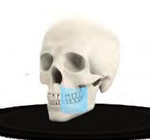 Čtyři definované velikosti pole vidění (FOV) s