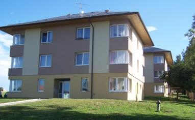 Informační leták je periodický tisk územního samosprávného celku a vydává se pro obec Borovou 1x měsíčně bezplatně.