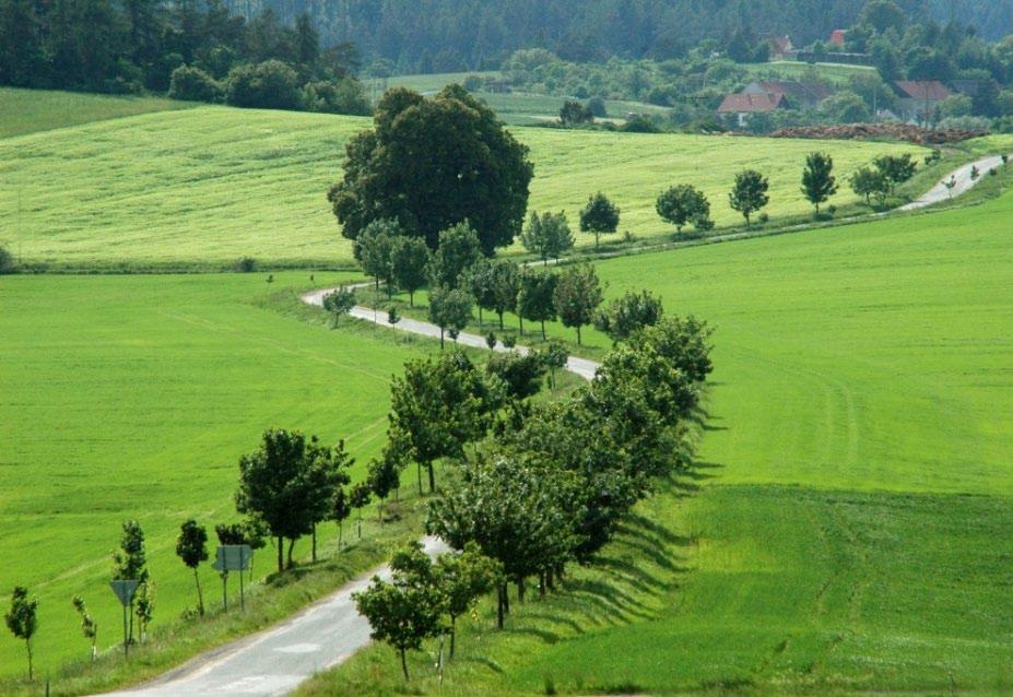 Z Z činnosti NS MAS 11 Ve fotografické soutěži NS MAS zvítězil v kategorii Příroda snímek Malebná krajina Prostějovska od Boba Pacholíka z regionu MAS Prostějov venkov Hodnocení místních akčních