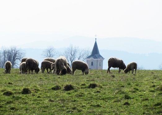 D Dotační programy 27 Úřad Regionální rady Severozápad také s největší pravděpodobností přijde i o část peněz ze zhruba 4,5 miliardy korun, které mají sloužit na kofinancování dalších projektů.